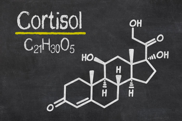 Hormones and Anxiety - Cortisol