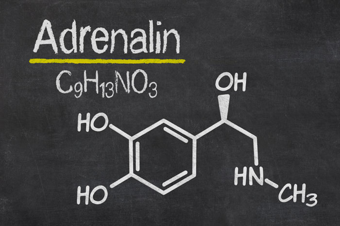 Hormones and Anxiety - Adrenaline